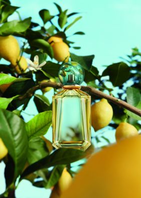 CHPD HPY LEMON DULCI EDP 40ML - عطر