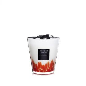 MAX16FM : MAX 16 FEATHERS MASAAI : BAOBAB - شموع