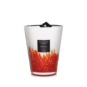 MAX24FM : MAX 24 FEATHERS MASAAI : BAOBAB - شموع