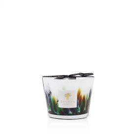 MAX 10 RAINFOREST AMAZONIA - شموع