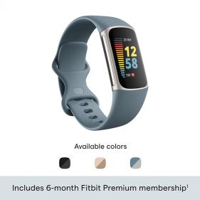 Fitbit Charge 5,BluePlatinum Stainless Steel  - ساعة ذكية