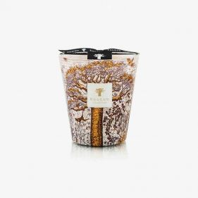 MAX 16 SACRED TREES DUALLA: BAOBAB - شمعة